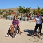 Cambria_2015_0147 (November 07, 2015)